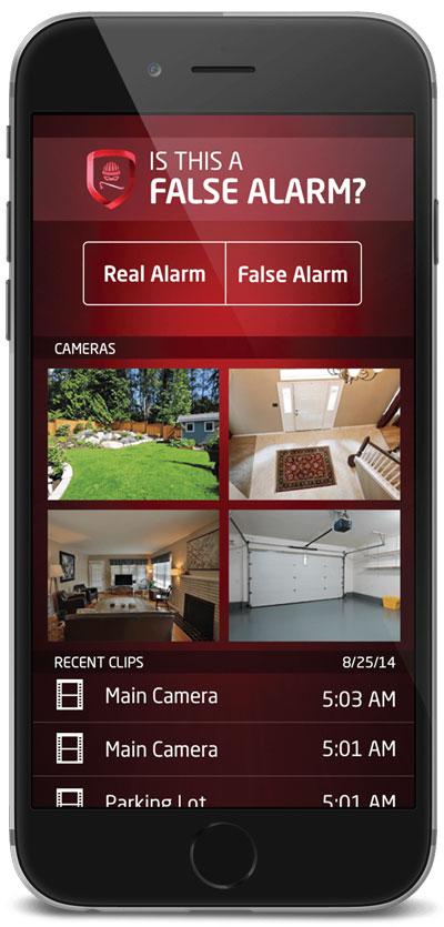 cameras_falsealarm